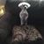 Sue Scheid's profile image