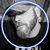 James Crosno's profile image