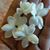 Minia L Basalapuz's profile image