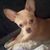Suzanne Lamont Mastison's profile image