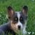 Patti Hedges's profile image