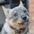 Matt Wilson's profile image