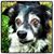 Will Cook's profile image