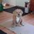 Karen Brown's profile image