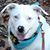 Jill Cutler's profile image