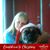 Carol Levan's profile image