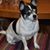 Sharon McGinley's profile image