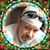 John Baggett Jr.'s profile image