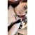 Elora Brooks's profile image