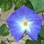 Leann Neyhart's profile image