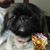 Wil Zamuria's profile image