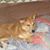 Sandra Miller's profile image