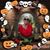 Peggy Lane Hawthorne's profile image