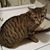 Doreen Bailey Boehlke's profile image