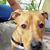 Kimberly Ann Anderson's profile image