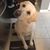 Ralph M. Krohn's profile image