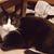 Mariette Solleveld's profile image