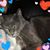 Brenda Lenville's profile image