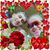 Tanya Tyndall Edge's profile image