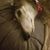 Wendy Koperski's profile image