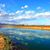 Lisa Sue Fulkerson's profile image