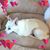 Tracy Loging Myhre's profile image