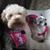 Kimberly Schoenrock-Williams's profile image