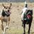 Sara R. Watts's profile image