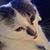 Jolanta Sliwa's profile image