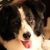 Jan Linder's profile image