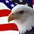 Jeff Bowyer's profile image