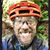 Michael Swale's profile image
