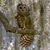Aaron J. Steinberg's profile image