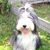 Kathy Dimond's profile image
