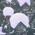 Ellen Gowey's profile image