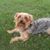 Josephine Crouse's profile image