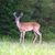 Elizabeth Martin Webb's profile image