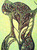 Dar W.'s profile image