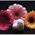 Peggy Pleak Morris's profile image