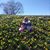 Tammie Lynn Creason's profile image