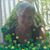 Sandi Rowland Accisano's profile image
