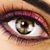 Danielle Scotland's profile image