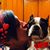 Maria Avila's profile image
