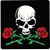 Roger Jones's profile image