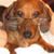 Althea Burkhardt's profile image