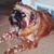 Ellen Durham's profile image