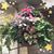 Sharon Fischer Osborn's profile image