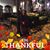 Susan Redwine's profile image