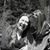 Sherry Kirk's profile image