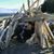Charlene Locher's profile image